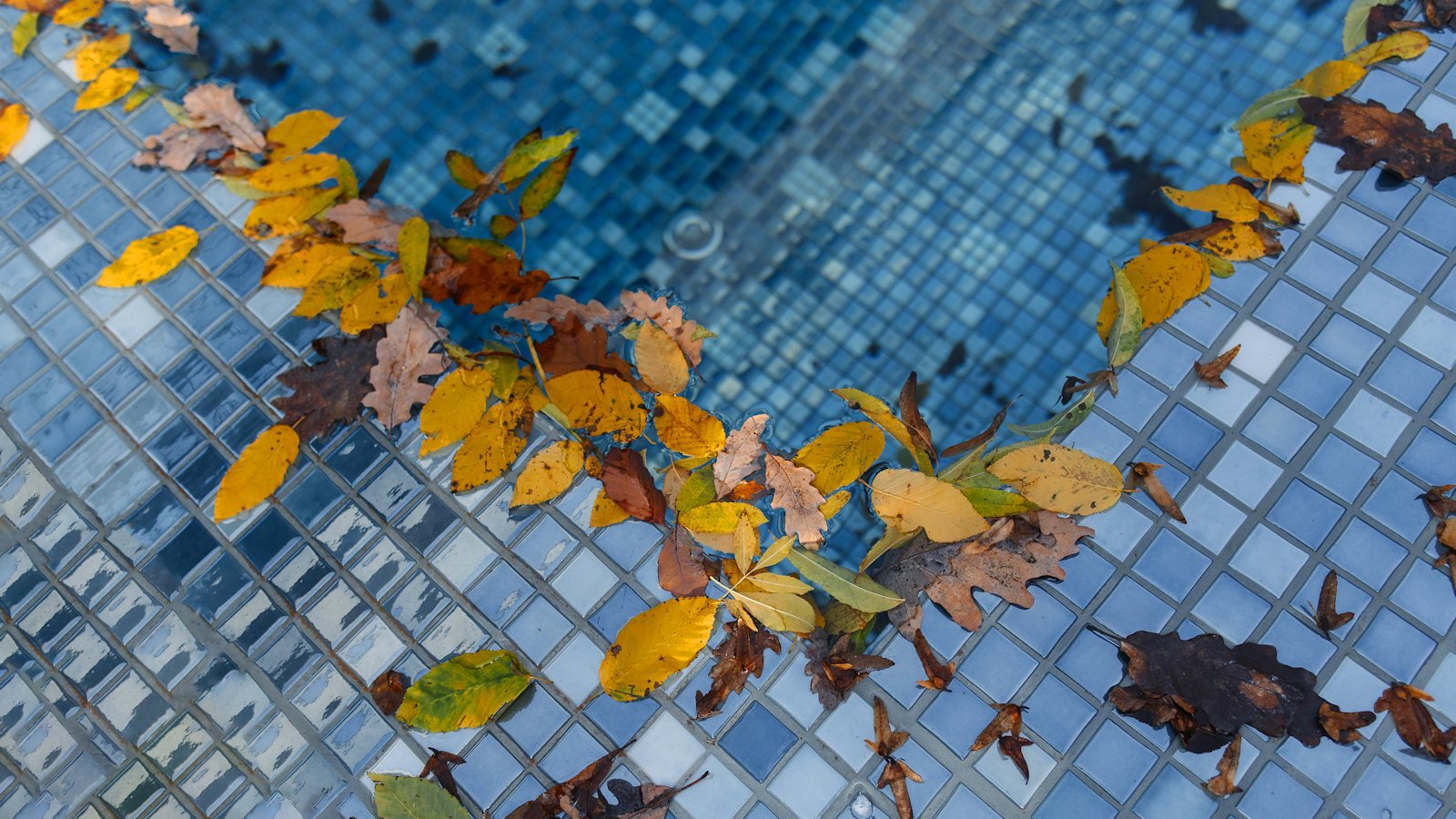 Fall Maintenance Tips for Your Oklahoma Pool