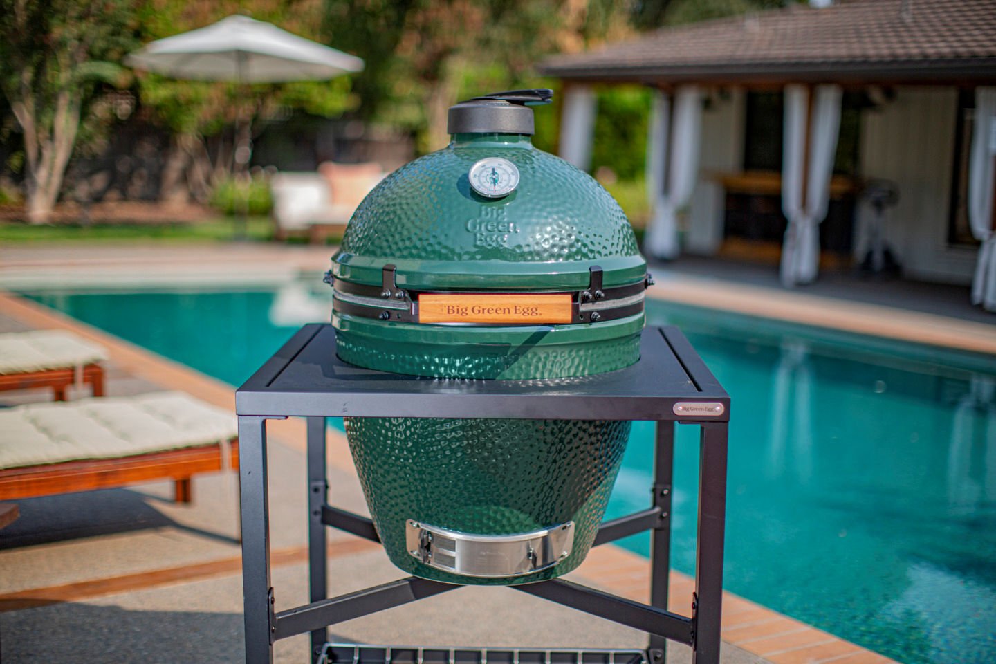 Whats So Special About the Big Green Egg