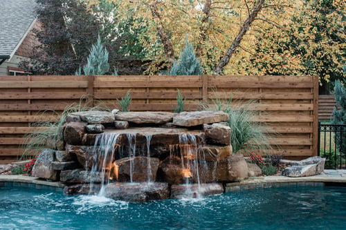 Pool Feature Tree Best Features to Add to Your Custom Pool