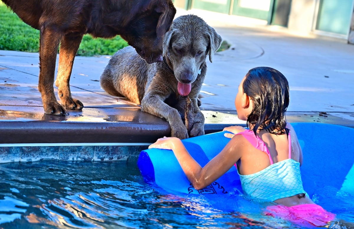 pool safety