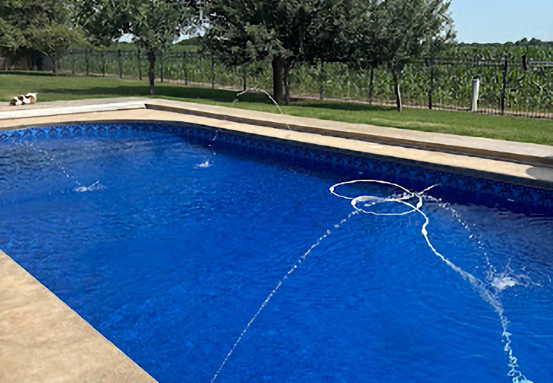 How Do You Know When to Replace Your Vinyl Pool Liner